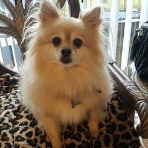 Meet your Posher, Tonya